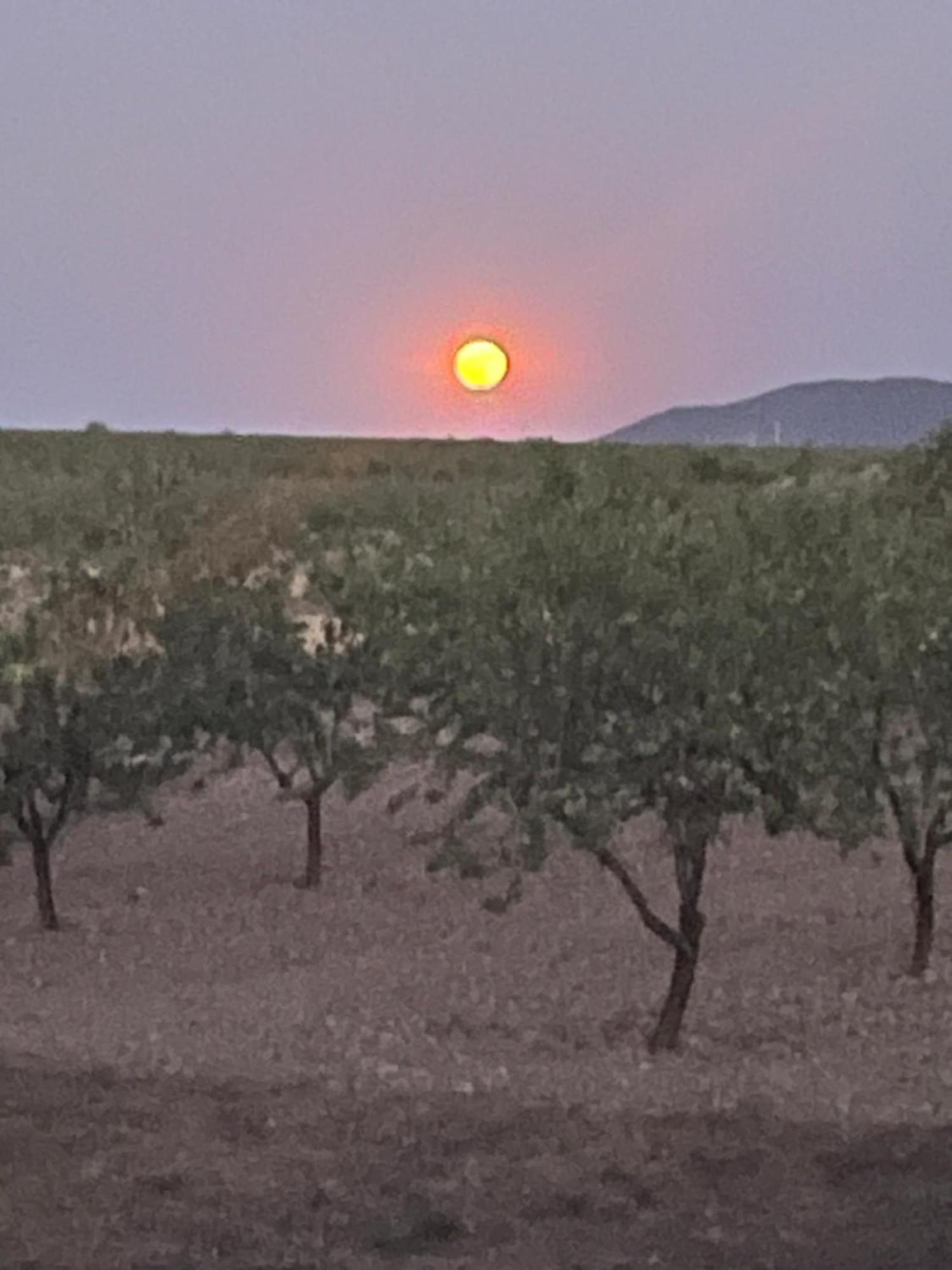 Appartamento Cortijo Calma - Countryside Peace & Tranquility Oria Esterno foto